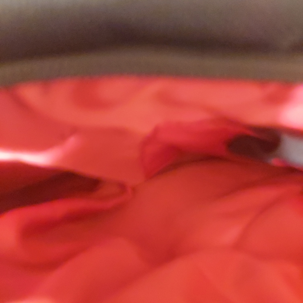 SwizzGear Labtop bag - Picture 5 of 5